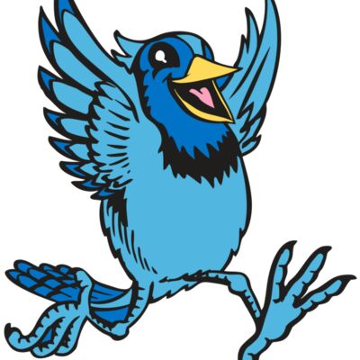 BAW BLUEJAY 09 RC Thumbnail