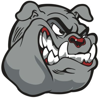 AR BDOG 13 RC Thumbnail