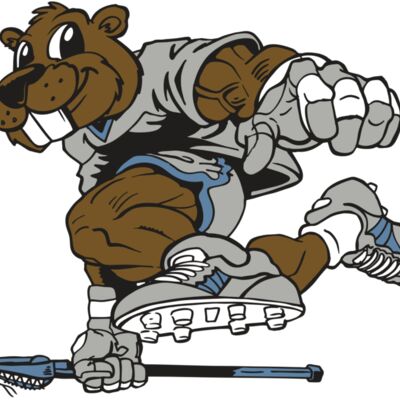 AR8 BEAVER 04 RQC Thumbnail