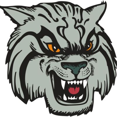 BAW WILDCAT 03 RC Thumbnail