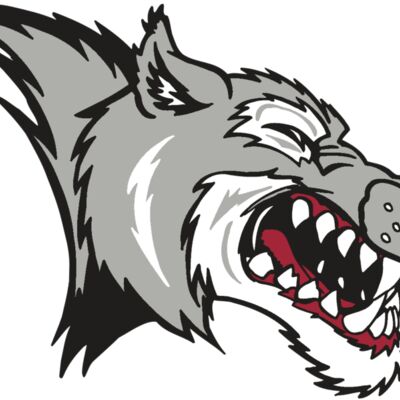 AR WOLF 15 RC Thumbnail