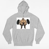 Tultex 320 - Unisex Fleece Pullover Hoodie Thumbnail