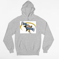 Tultex 320 - Unisex Fleece Pullover Hoodie Thumbnail