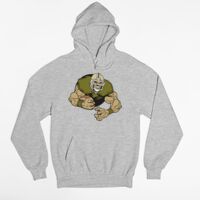 Tultex 320 - Unisex Fleece Pullover Hoodie Thumbnail
