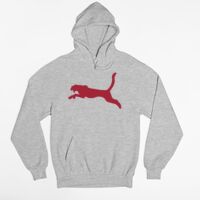 Tultex 320 - Unisex Fleece Pullover Hoodie Thumbnail