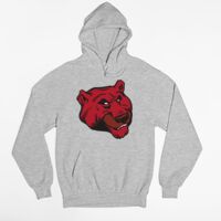 Tultex 320 - Unisex Fleece Pullover Hoodie Thumbnail