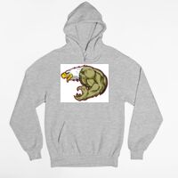 Tultex 320 - Unisex Fleece Pullover Hoodie Thumbnail