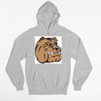 Tultex 320 - Unisex Fleece Pullover Hoodie Thumbnail