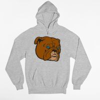Tultex 320 - Unisex Fleece Pullover Hoodie Thumbnail