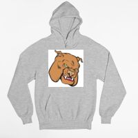 Tultex 320 - Unisex Fleece Pullover Hoodie Thumbnail