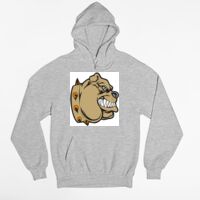 Tultex 320 - Unisex Fleece Pullover Hoodie Thumbnail
