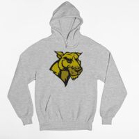 Tultex 320 - Unisex Fleece Pullover Hoodie Thumbnail