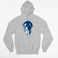 Tultex 320 - Unisex Fleece Pullover Hoodie Thumbnail
