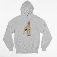 Tultex 320 - Unisex Fleece Pullover Hoodie Thumbnail