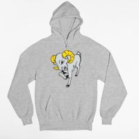 Tultex 320 - Unisex Fleece Pullover Hoodie Thumbnail