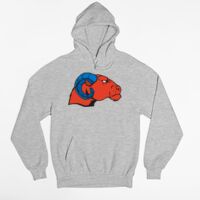 Tultex 320 - Unisex Fleece Pullover Hoodie Thumbnail