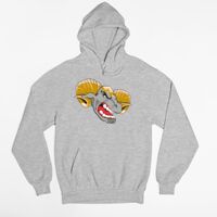 Tultex 320 - Unisex Fleece Pullover Hoodie Thumbnail