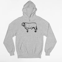 Tultex 320 - Unisex Fleece Pullover Hoodie Thumbnail