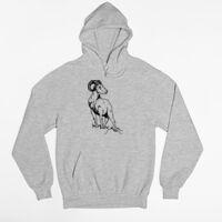 Tultex 320 - Unisex Fleece Pullover Hoodie Thumbnail