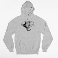 Tultex 320 - Unisex Fleece Pullover Hoodie Thumbnail