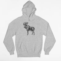 Tultex 320 - Unisex Fleece Pullover Hoodie Thumbnail