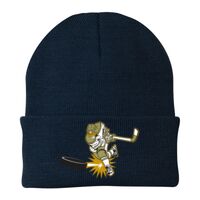 Knit Cap Thumbnail