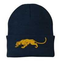 Knit Cap Thumbnail