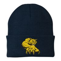 Knit Cap Thumbnail