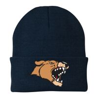 Knit Cap Thumbnail