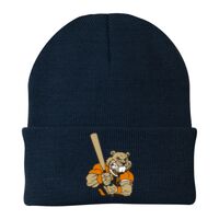 Knit Cap Thumbnail