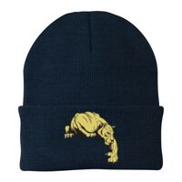 Knit Cap Thumbnail
