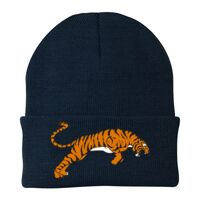 Knit Cap Thumbnail