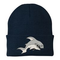 Knit Cap Thumbnail
