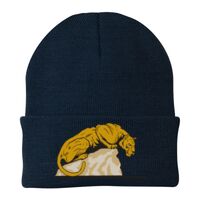 Knit Cap Thumbnail