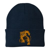 Knit Cap Thumbnail