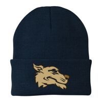 Knit Cap Thumbnail