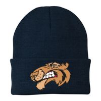 Knit Cap Thumbnail
