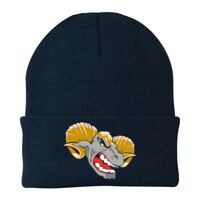 Knit Cap Thumbnail