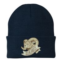 Knit Cap Thumbnail