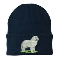 Knit Cap Thumbnail