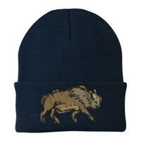Knit Cap Thumbnail