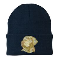 Knit Cap Thumbnail