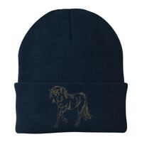 Knit Cap Thumbnail