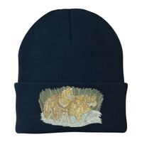 Knit Cap Thumbnail