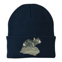 Knit Cap Thumbnail