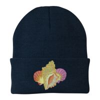 Knit Cap Thumbnail