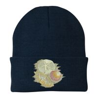 Knit Cap Thumbnail