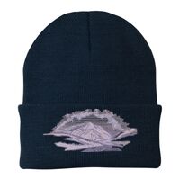 Knit Cap Thumbnail