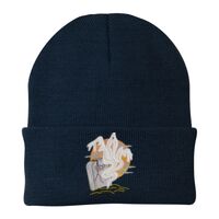 Knit Cap Thumbnail