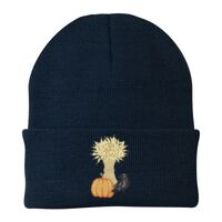 Knit Cap Thumbnail